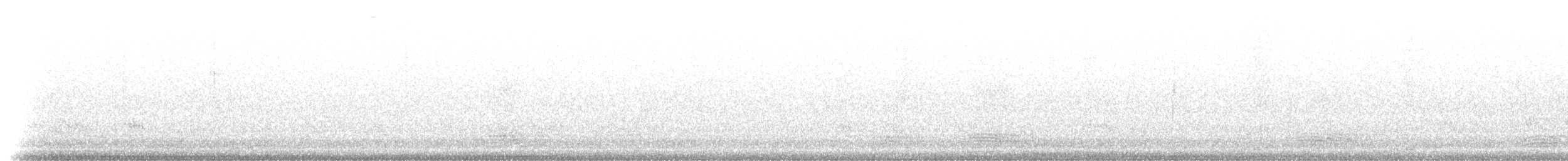 svartryggslakterfugl - ML201282
