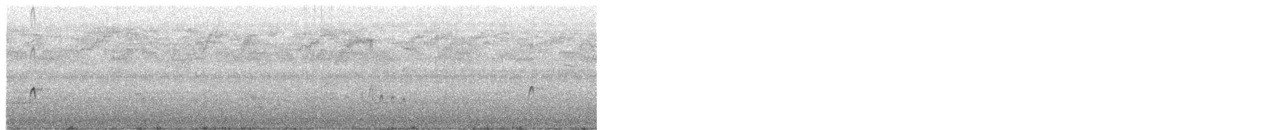Американский бекасовидный веретенник - ML20129361