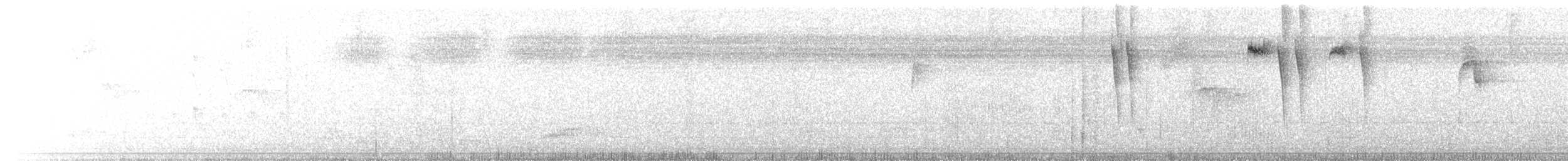 Colibri à ventre noir - ML20130761