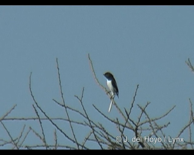 Somali Fiscal - ML201314151