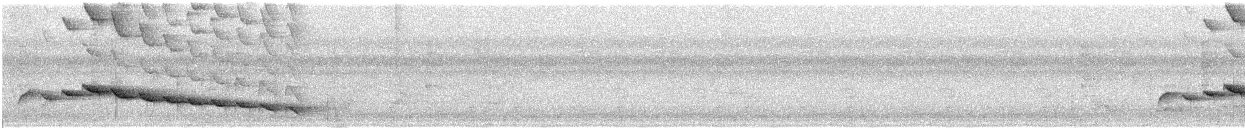 Sumichrast's Wren - ML20146091