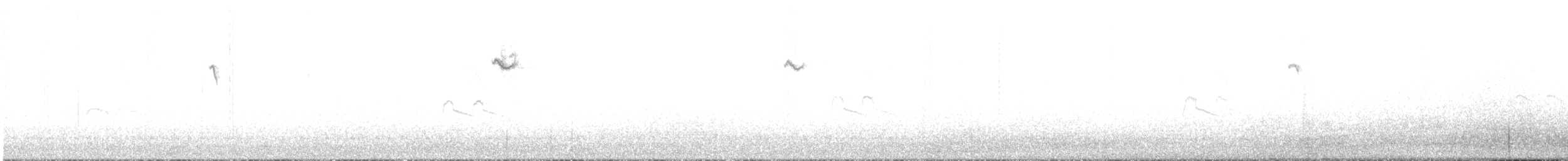 Conirostre géant - ML20146221