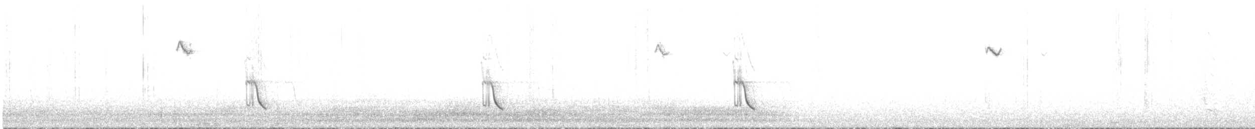 Conirostre géant - ML20146231