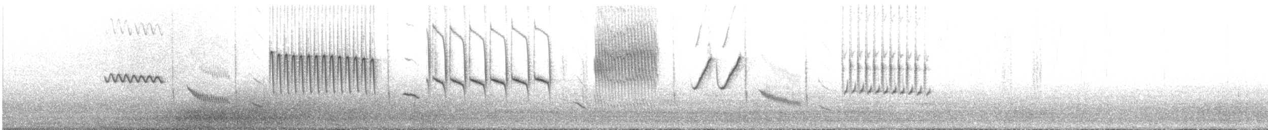 Grass Wren (Paramo) - ML20146271