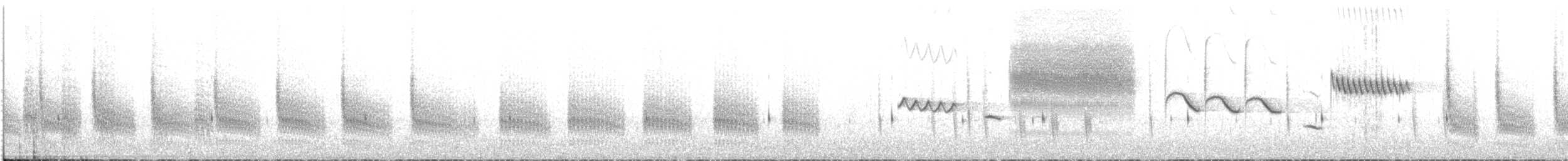 Troglodyte de Latham (aequatorialis) - ML20146281
