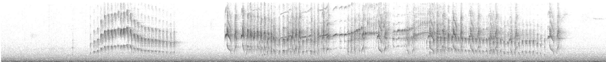 Weißbinden-Tachurityrann - ML20146741