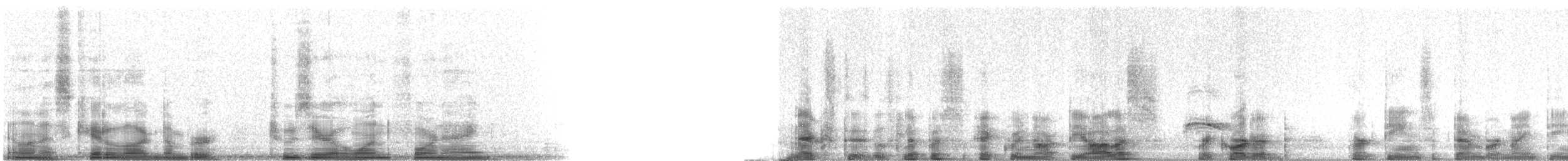 tanımsız maskeli sarıgerdan (aequinoctialis/auricularis/velata) - ML20149