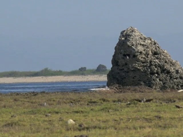 Dúcula de Carlota - ML201661741