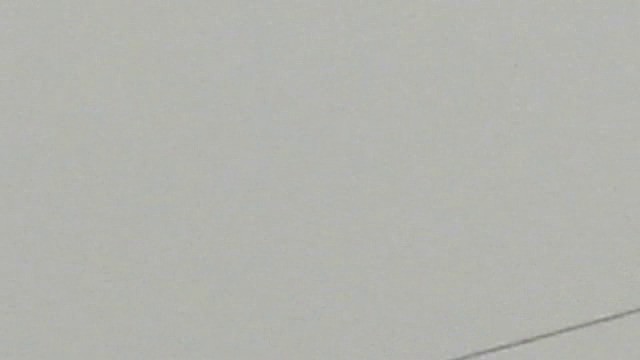 ヨーロッパノスリ（buteo） - ML201879721