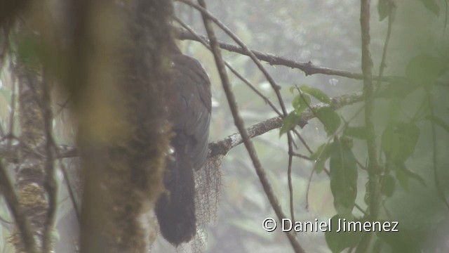 And Guanı - ML201948611