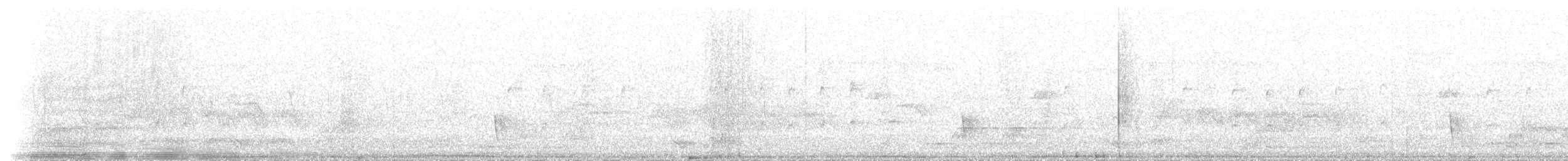 Sahul Cicadabird - ML202001