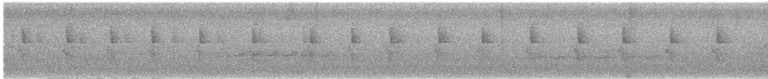 Weißbart-Schattenkolibri - ML20204791
