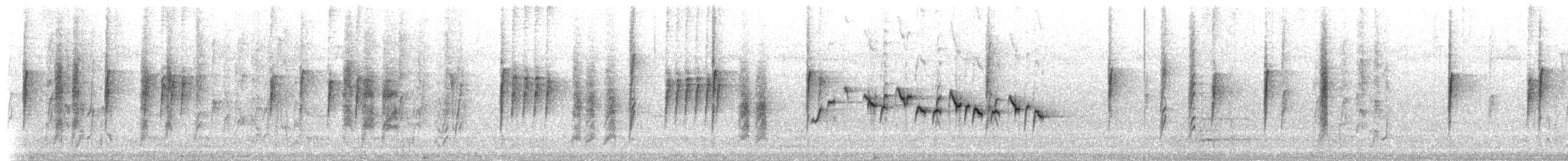 Beccarisericornis - ML202051