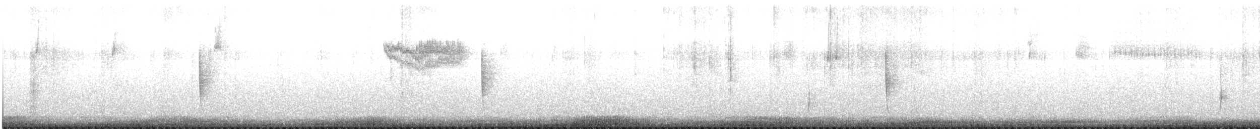 Тауї плямистий - ML202127731
