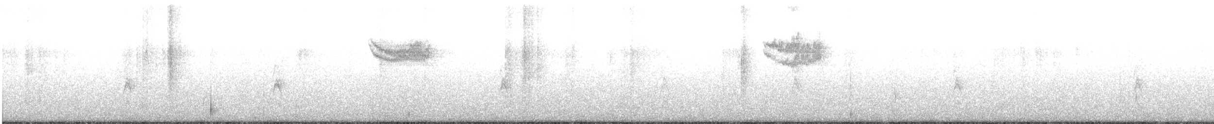 Тауї плямистий - ML202127771