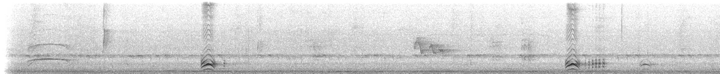 Black-crowned Antshrike - ML202155261