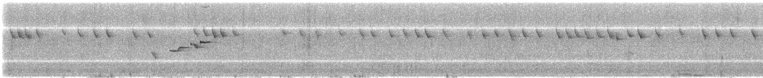 Buztanikara argia - ML202160031