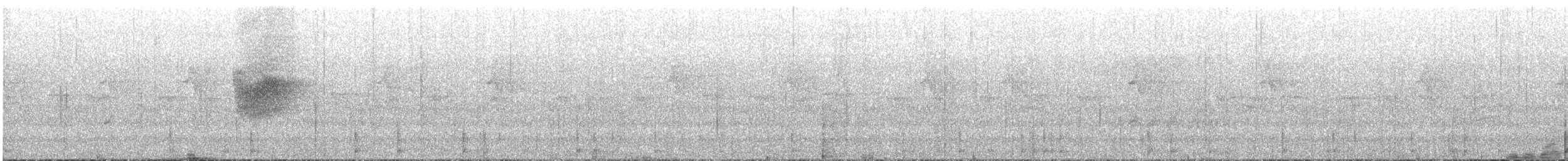 White-crowned Forktail (Northern) - ML202166351