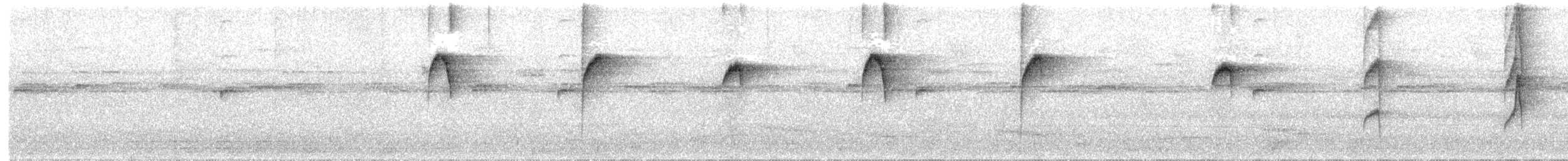 Пилоклювый колибри-отшельник - ML202194121