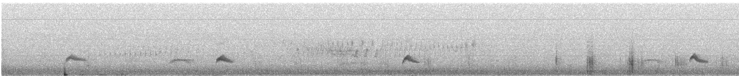シラギクタイランチョウ（chilensis） - ML202226021