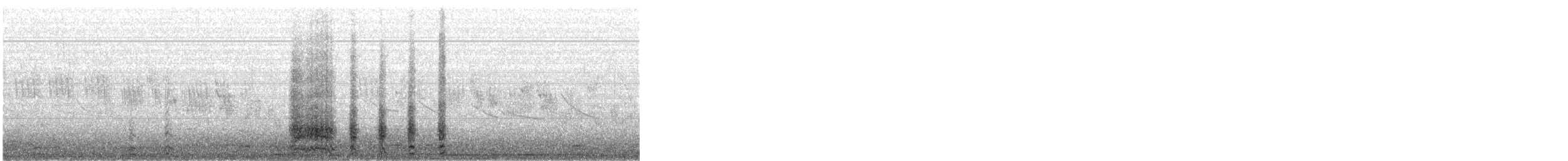 Red Shoveler - ML202230161