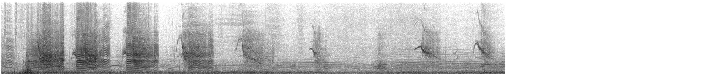 Chilean Skua - ML202232261