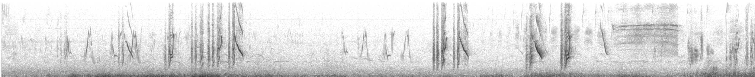 Drachenstärling - ML202234661