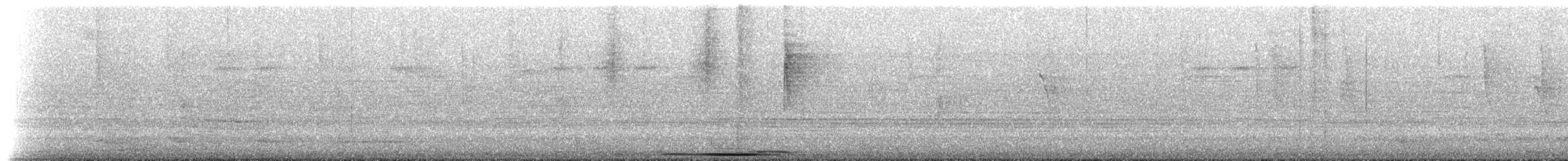 ヤマウズラバト（montana） - ML202234771