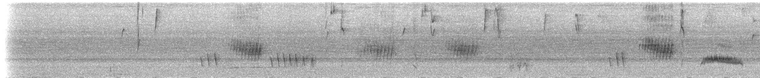 tykknebbeufonia (melanura/crassirostris) - ML202236721