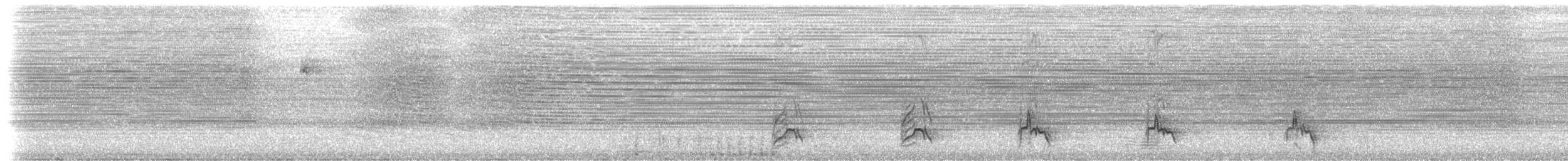 ヒゴシツリスドリ（microrhynchus） - ML202236741