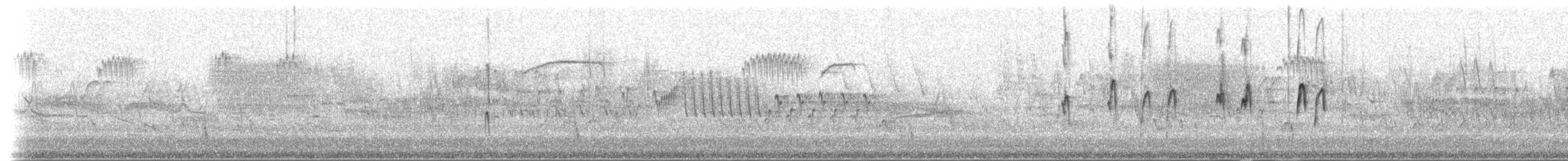 pygméspettmeis - ML202282