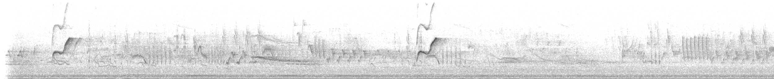 Batı Amerika Sinekkapanı (occidentalis/hellmayri) - ML202296
