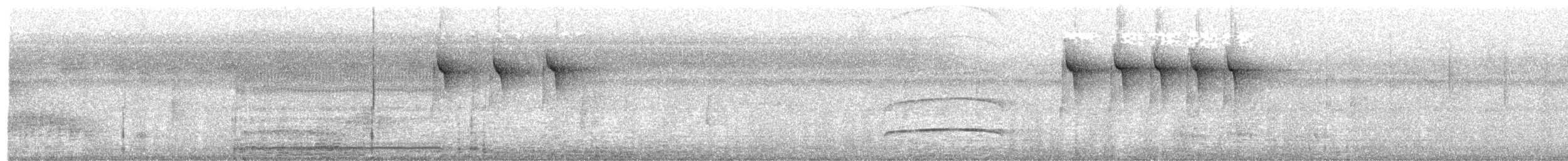 Ornate Stipplethroat - ML202406851