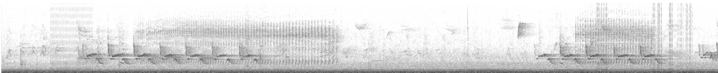 Каролинский крапивник - ML202425051