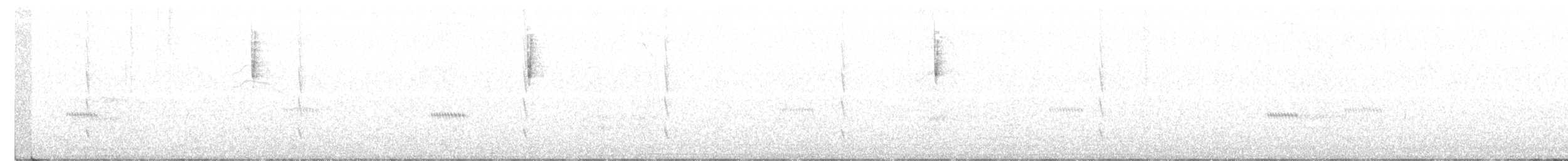 kalypta černobradá - ML202456601
