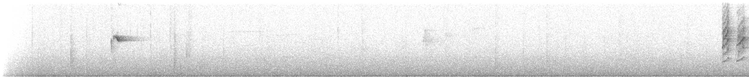 Краснохвостая нектарница - ML202461081