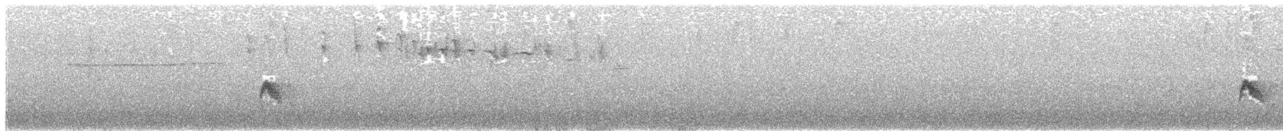 Sierran Elaenia - ML20247261