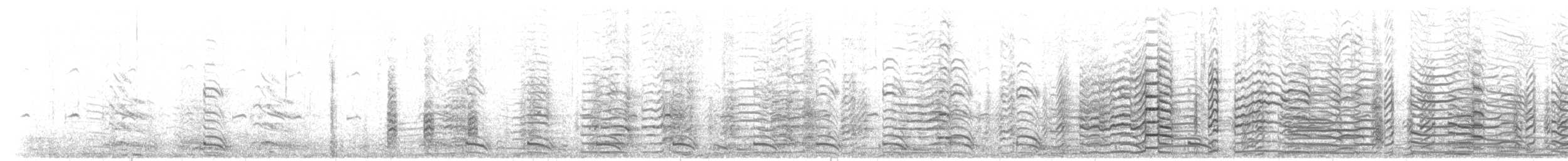 Antxeta hankabeltza (tridactyla) - ML202489