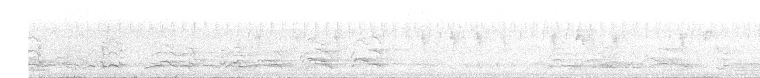 Белохвостый траурный какаду - ML202503291