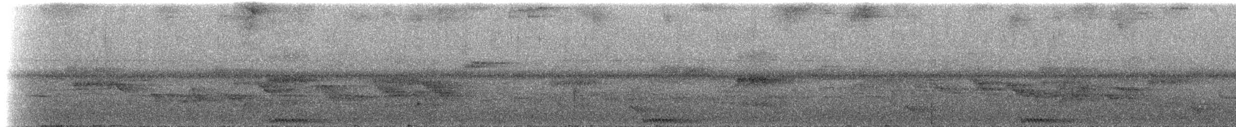 West Solomons Owl - ML202638