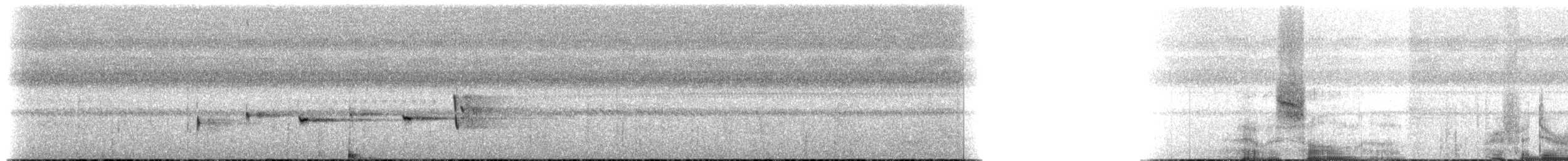 Чёрно-белая веерохвостка - ML202690