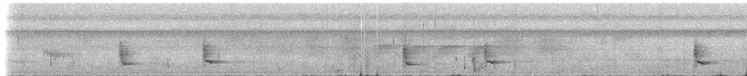 Rhipidure de Cockerell - ML202697