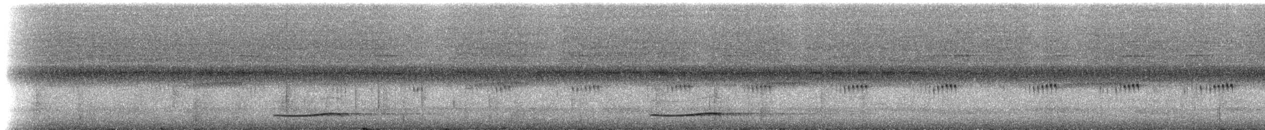 Тихоокеанский коэль [группа orientalis] - ML202758