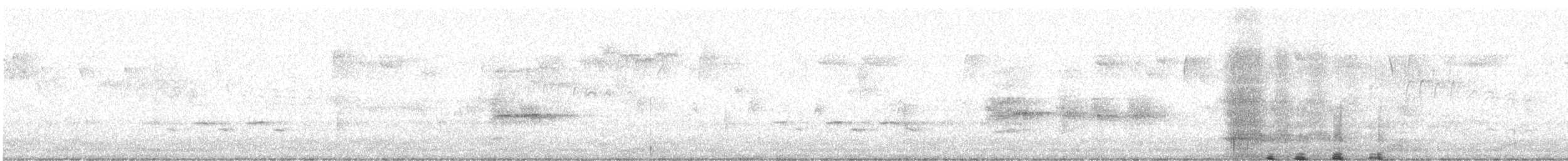 Virginia Rail - ML202775431