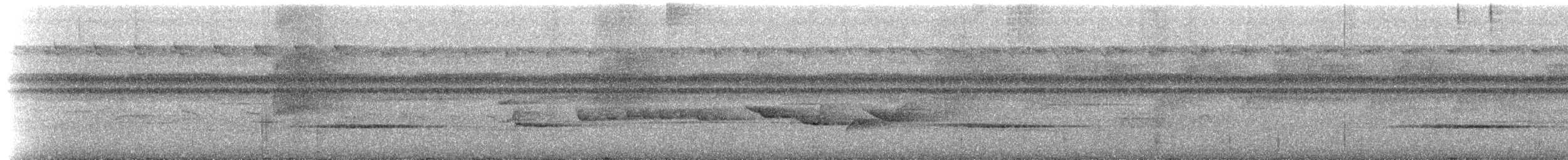 Окулярник соломонський - ML202809
