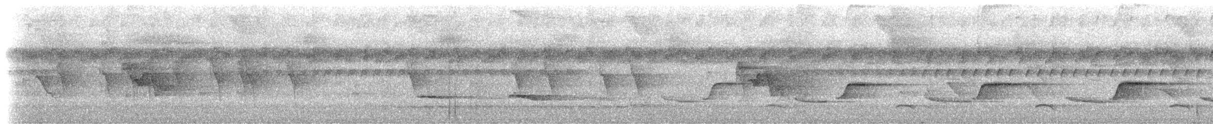 Stripe-throated Wren - ML202888461