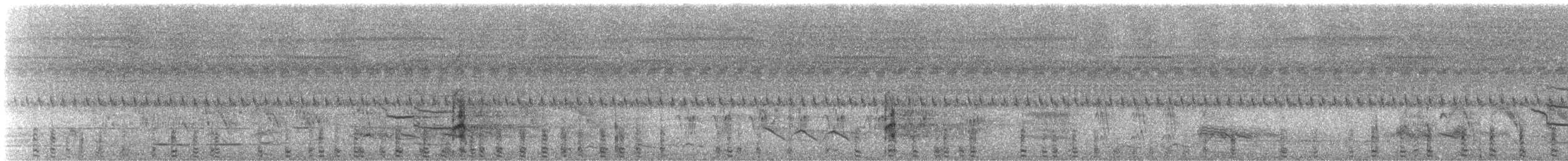 Fuligule austral - ML202918331