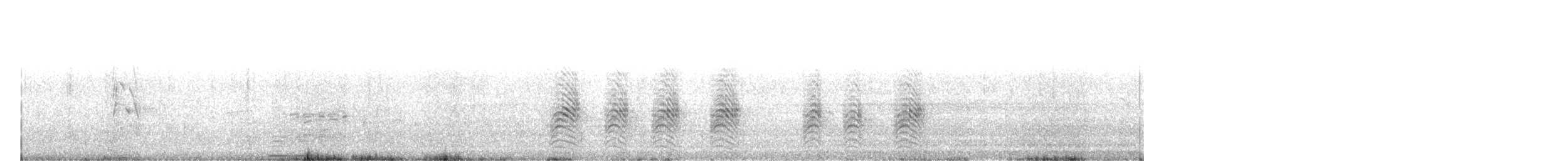 småseiler - ML202931951