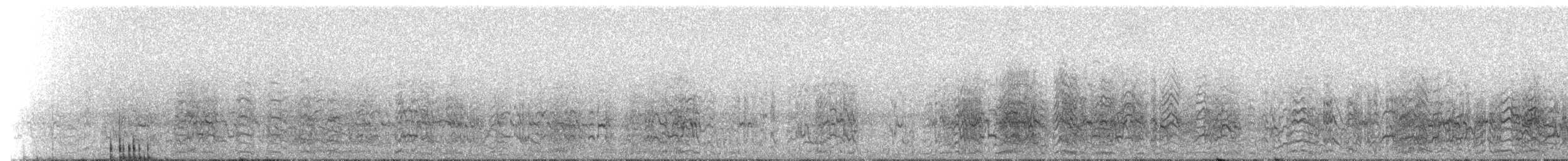 Cordilleran Parakeet - ML202958