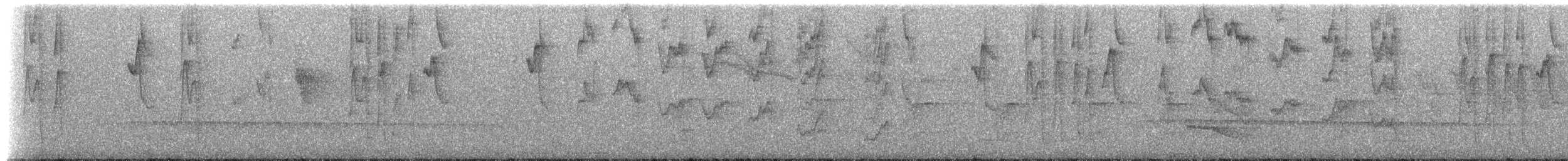 Ерміт-серподзьоб темнохвостий - ML203031
